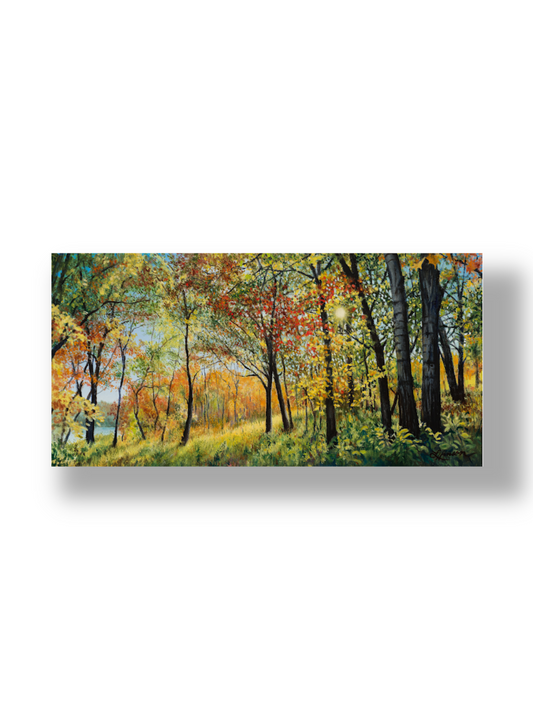 Canopy Of Color Print