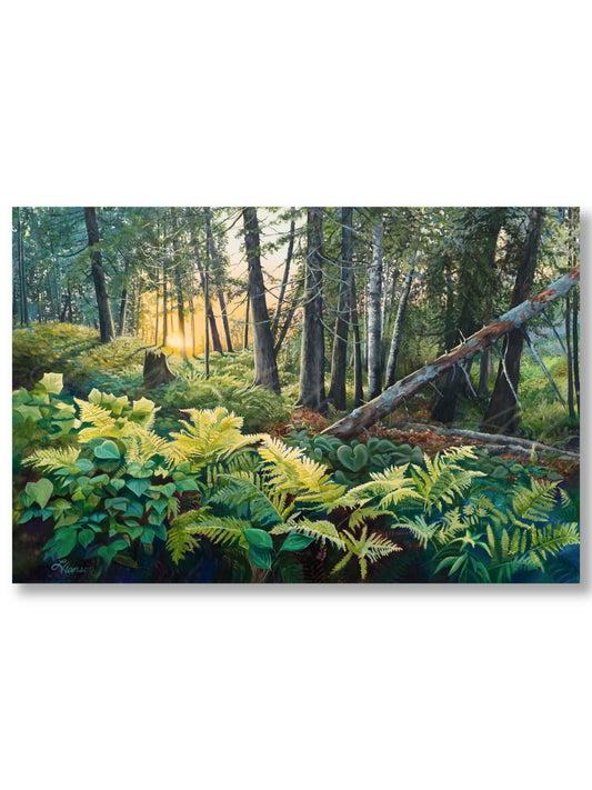 Enchanted Forest
