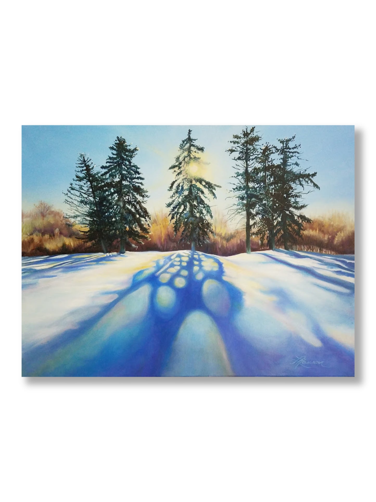 Long Shadows Of Winter