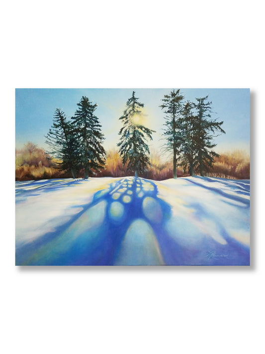 Long Shadows Of Winter