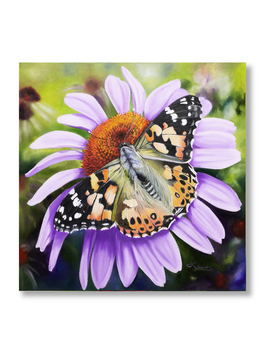 Painted Lady