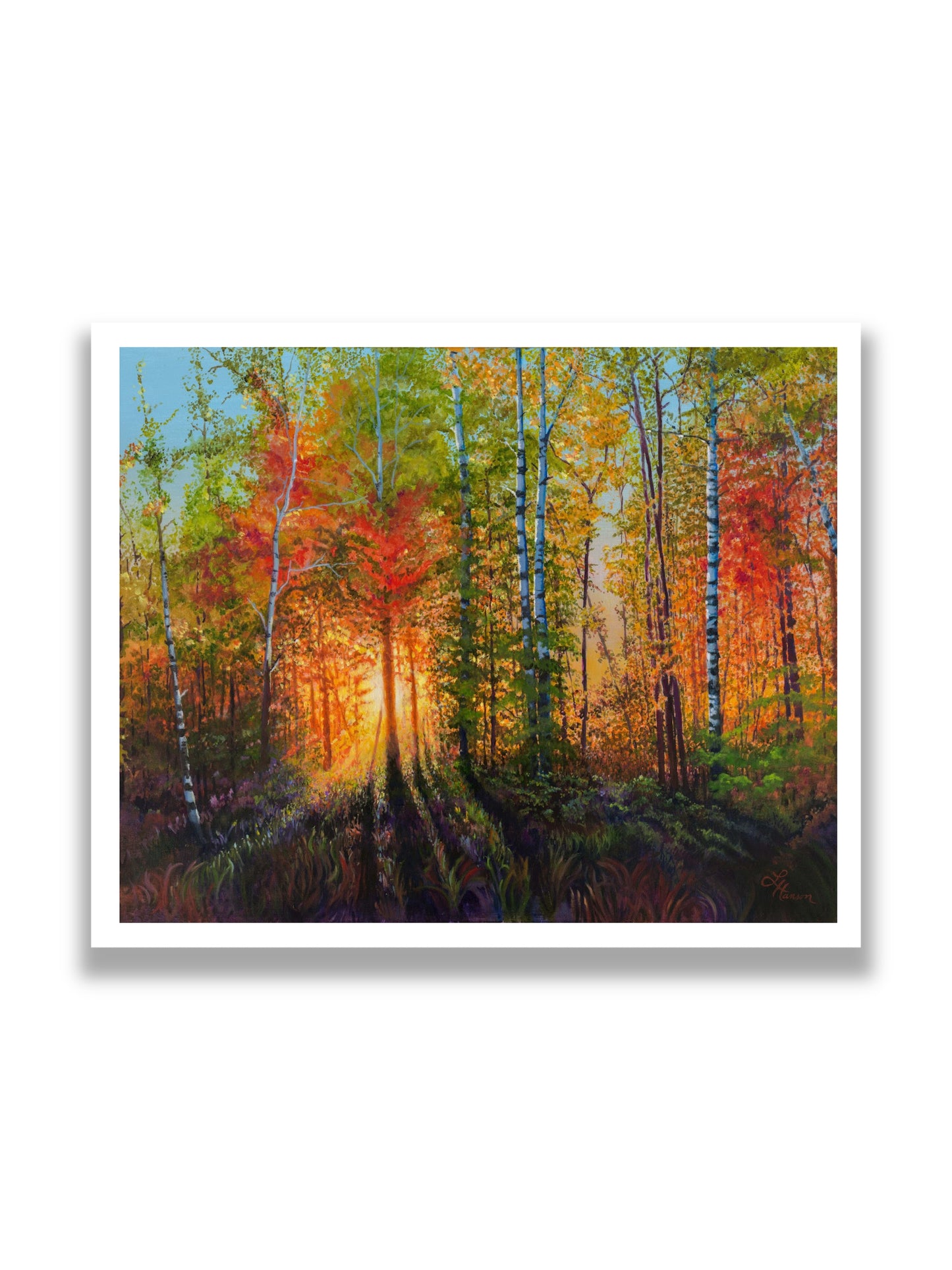 Blazing Fall Sunset Print