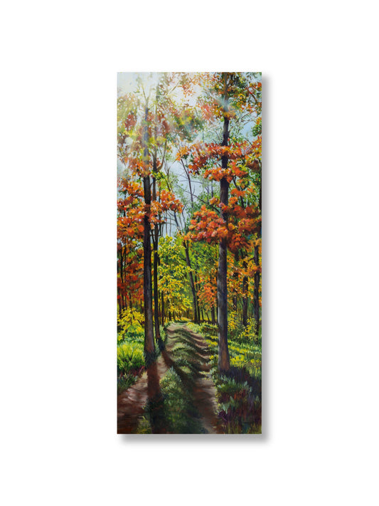 Cabin Road