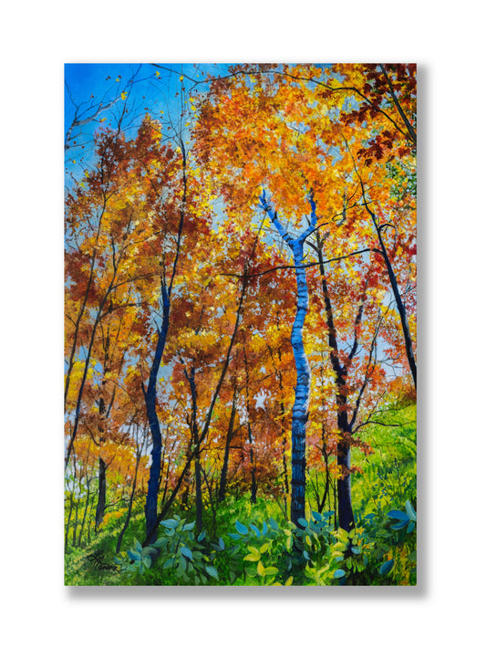 Looking Up 1 Print