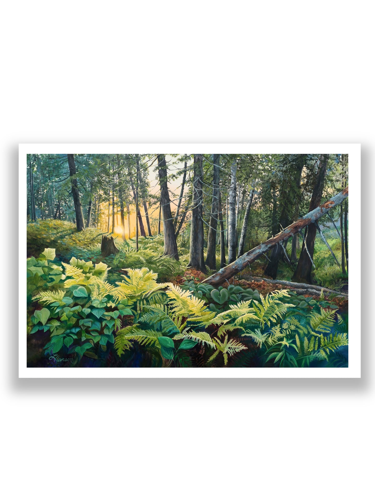 Enchanted Forest Print