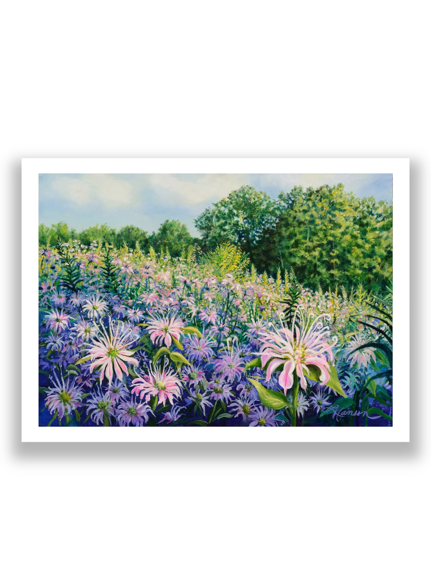 Bee Balm Meadow Print