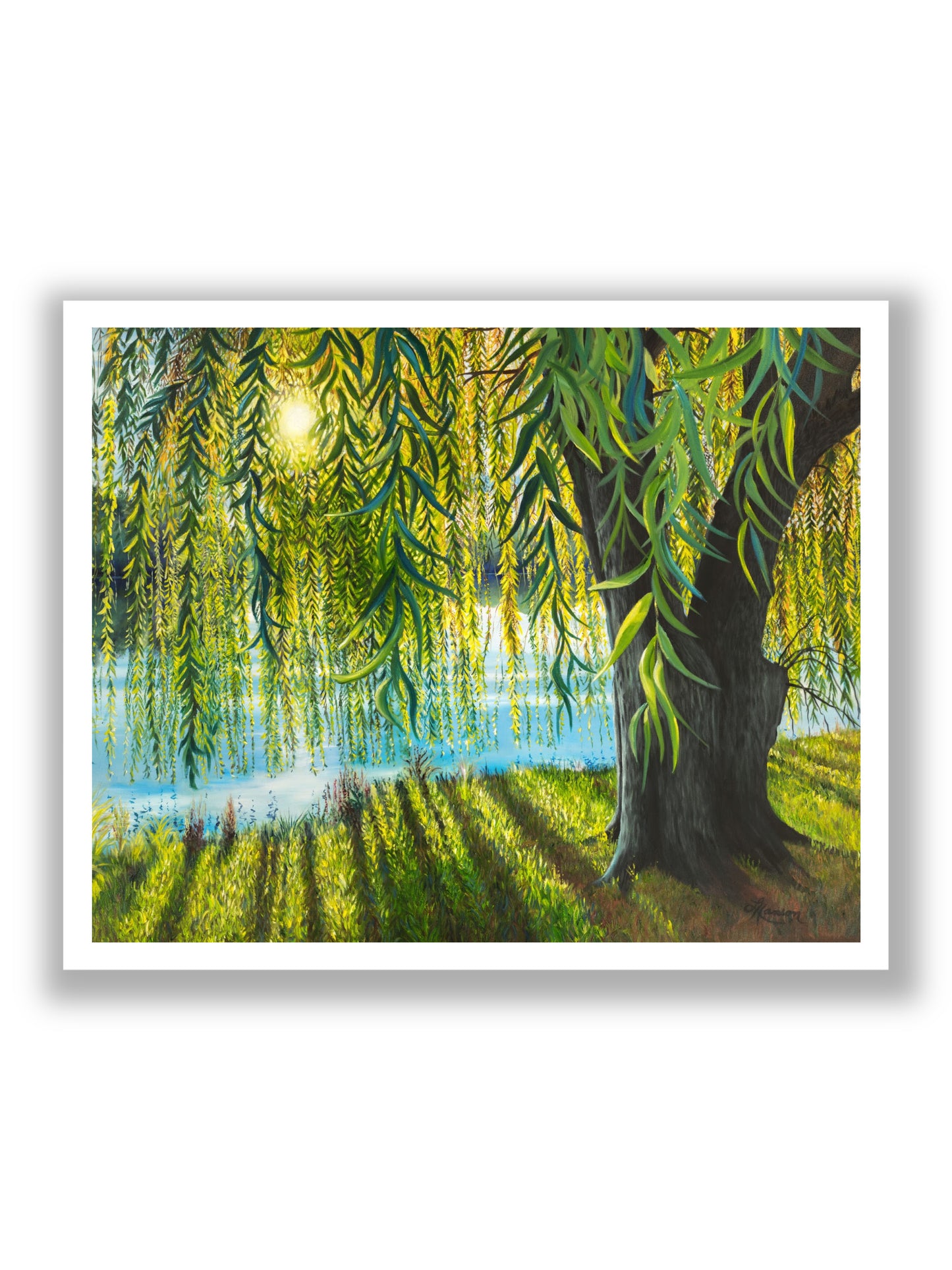 Willow Sunrise Print