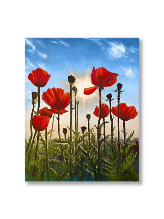 Sunshine Poppies
