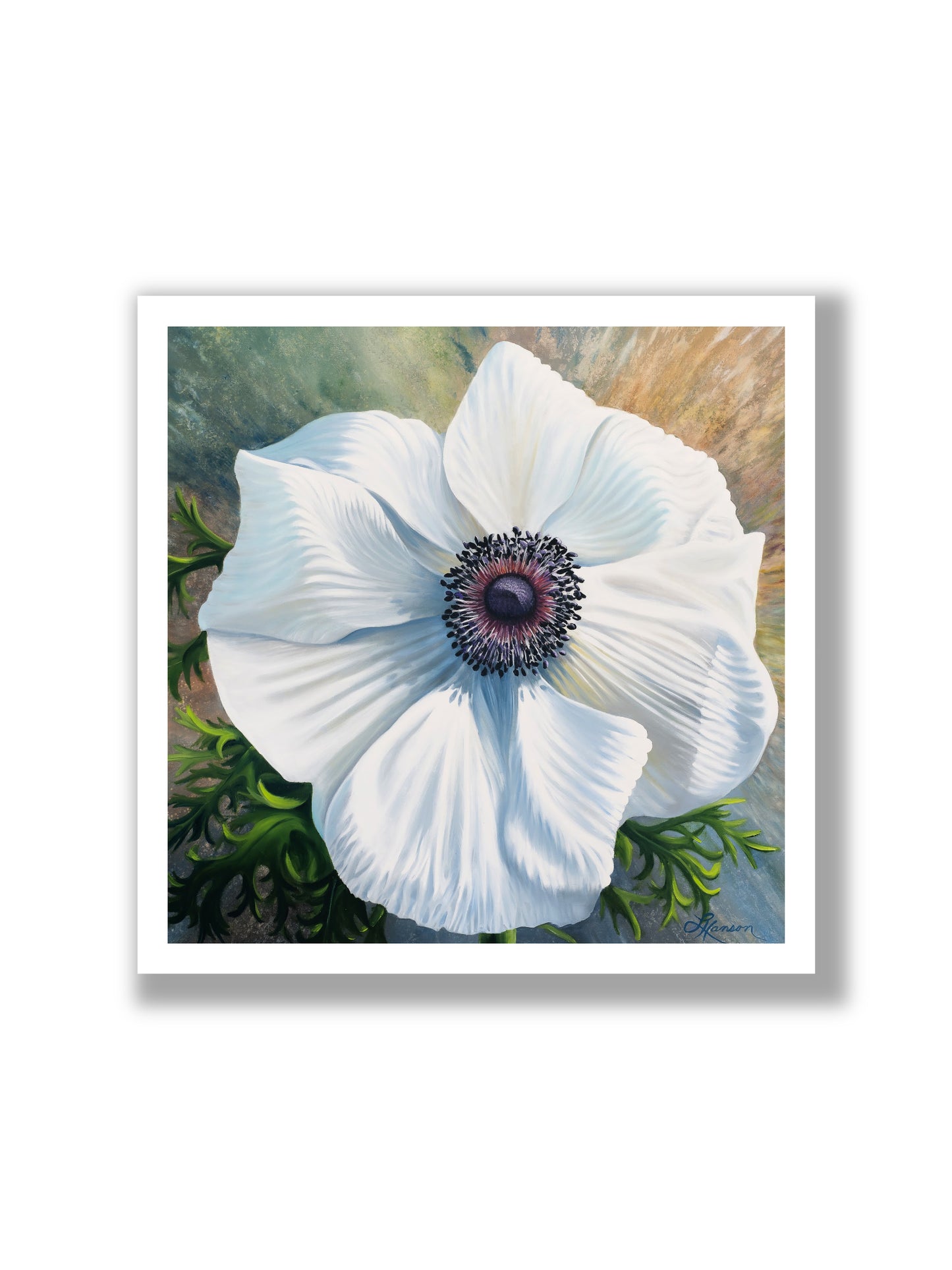 Soft & White Anemone Print