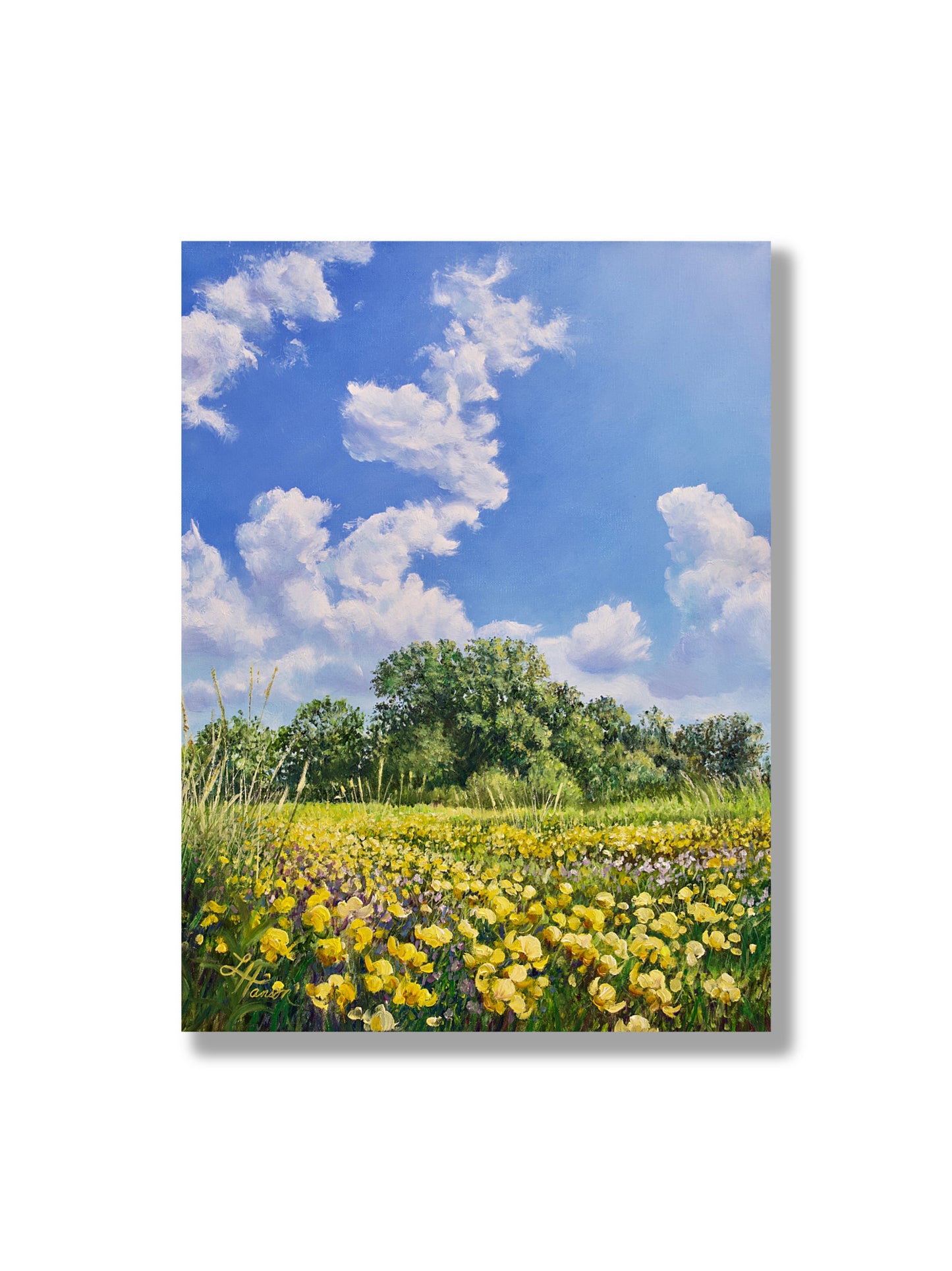 June Afternoon