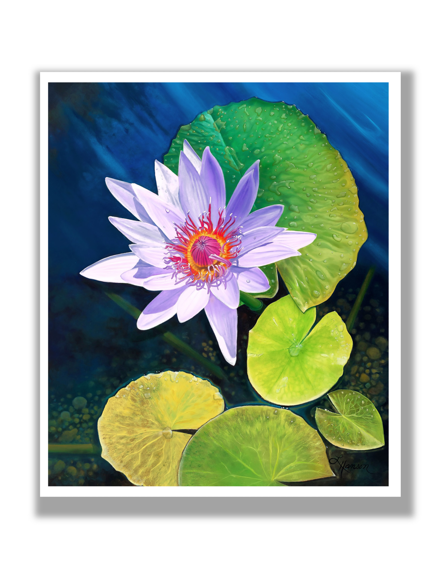Bold And Beautiful Print