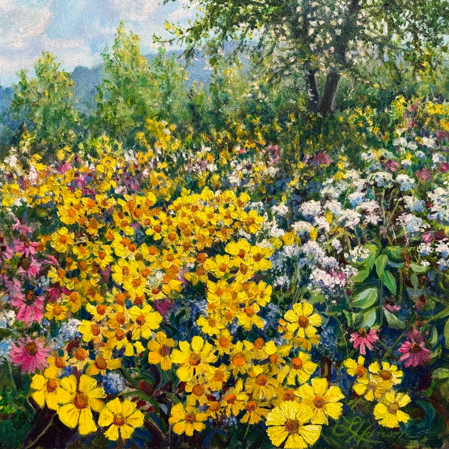 Evening In The Meadow
