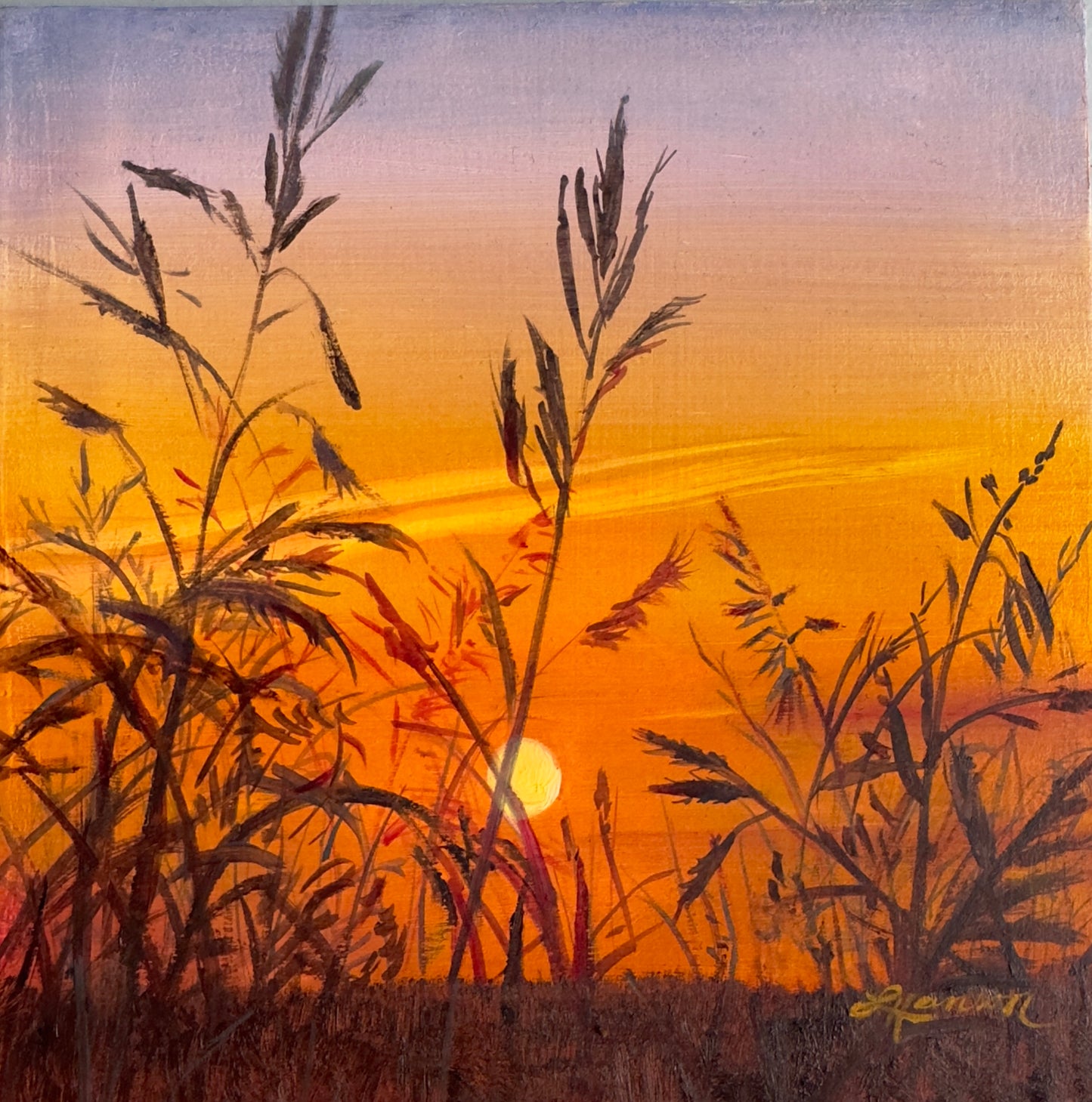 Twilight Field
