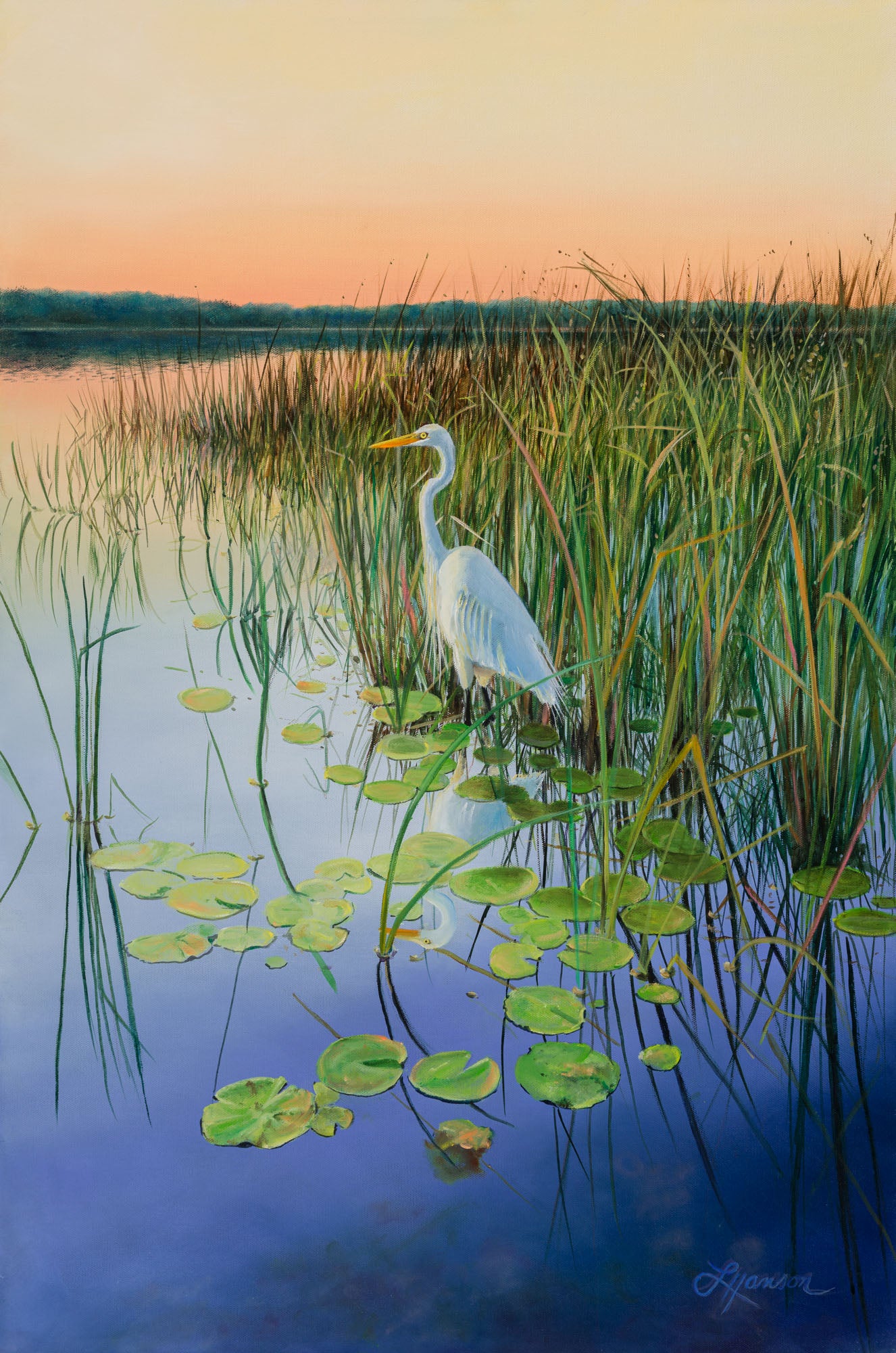 Egrett Sunset