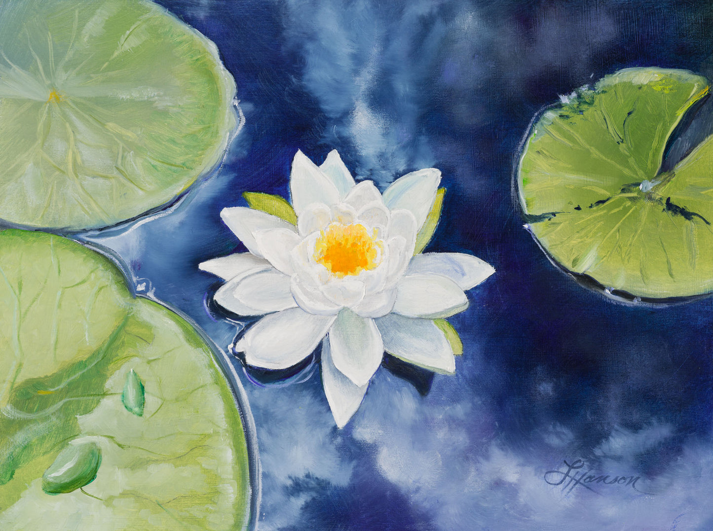 White Waterlily Cloud Reflection
