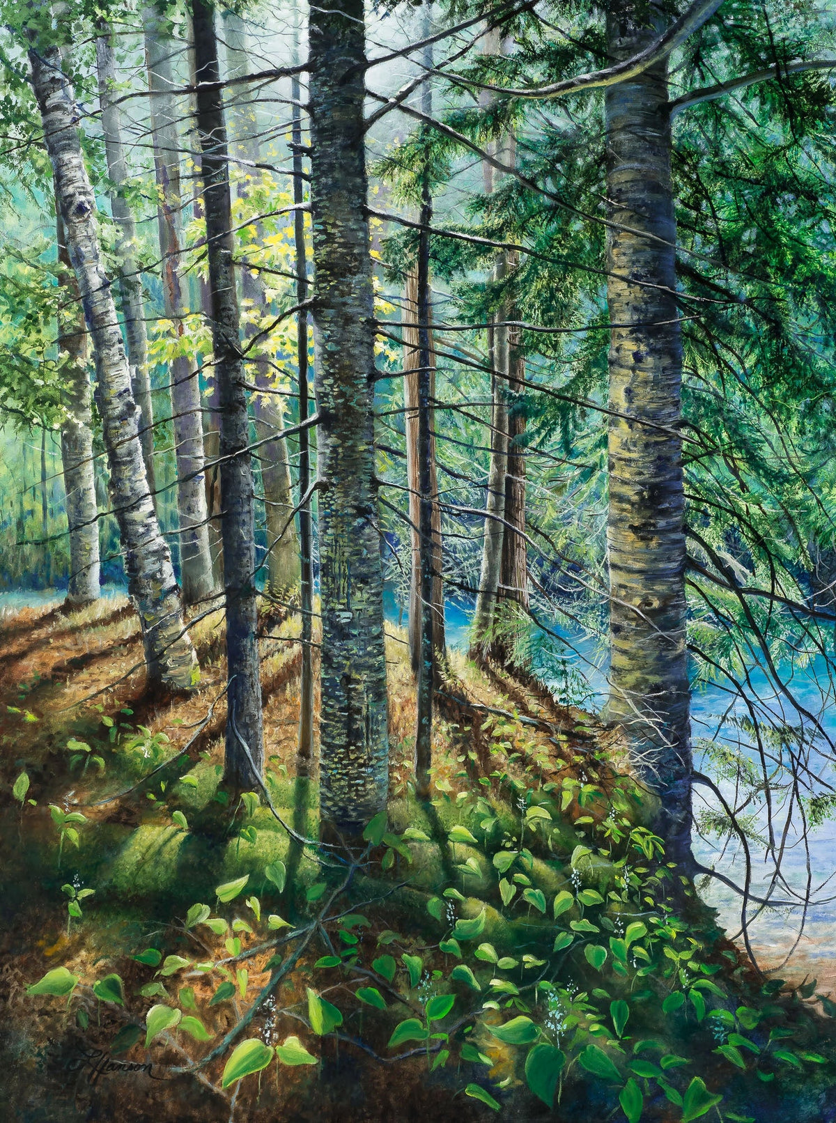 Woodlands and Trees