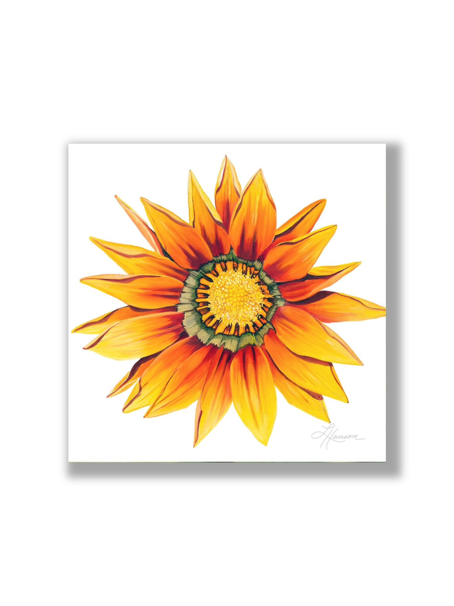 Gazania Print