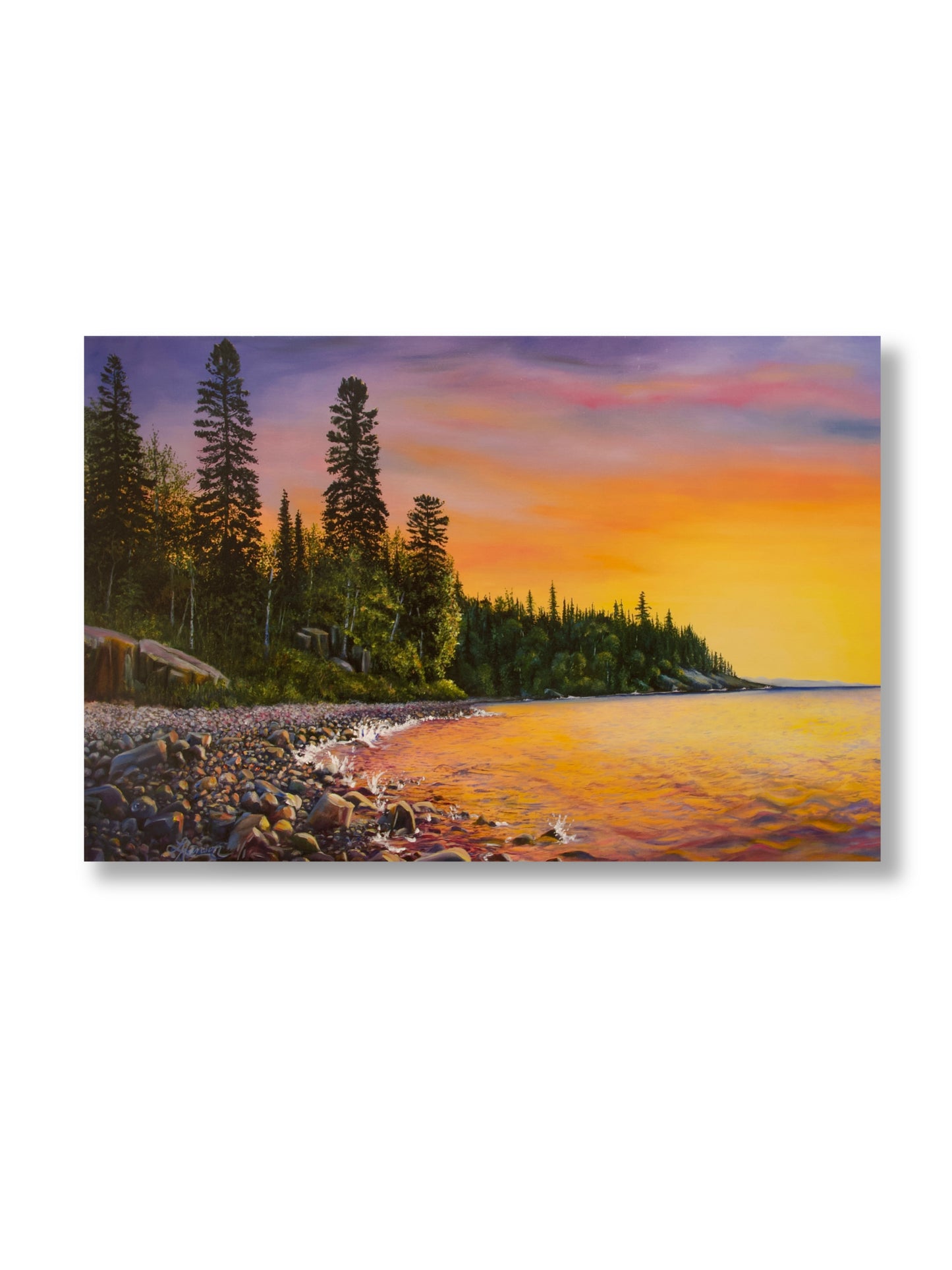 North Shore Experience Hand Embellished L.E.