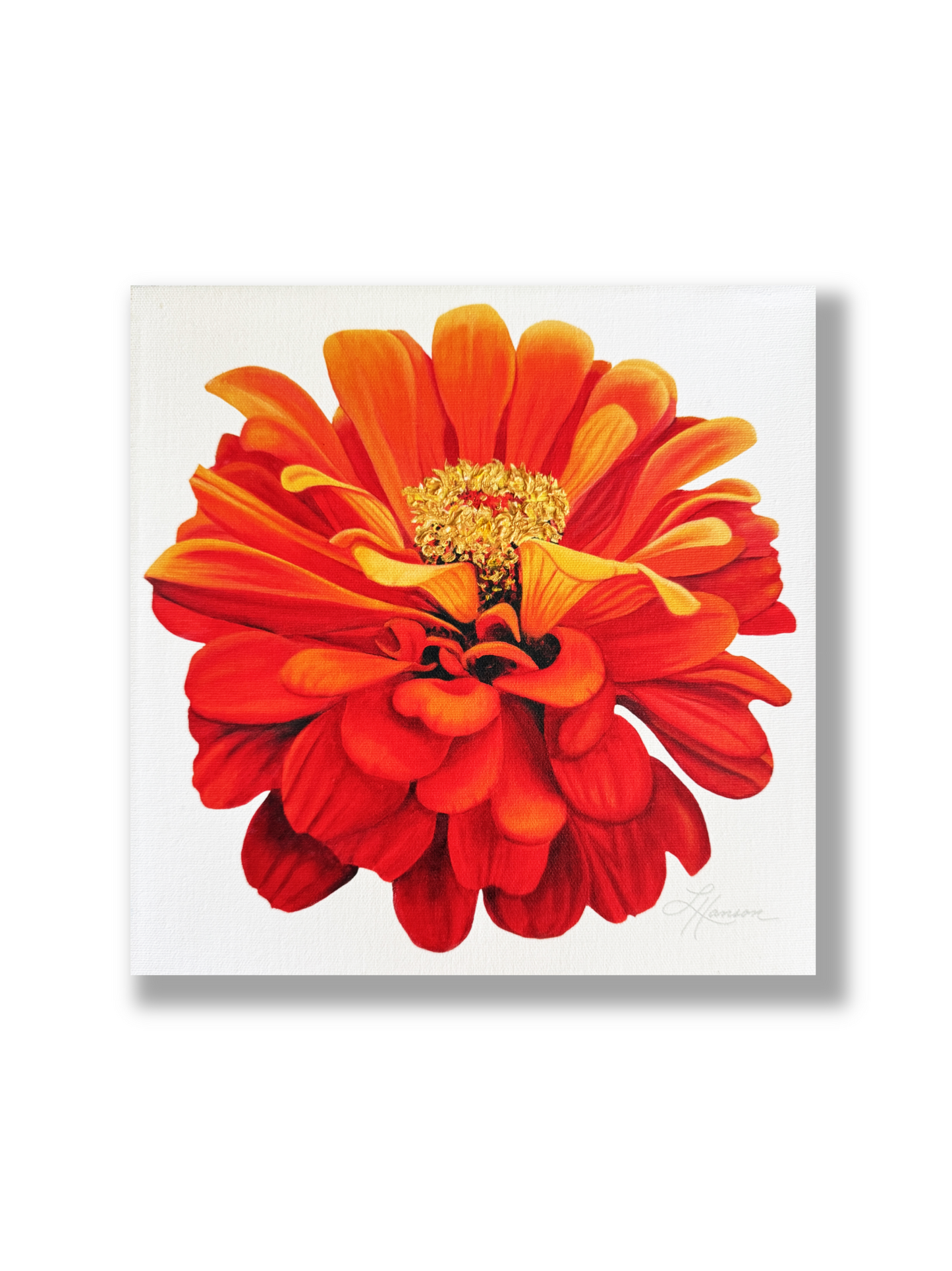 Zinnia-Hand Embellished - Limited Edition