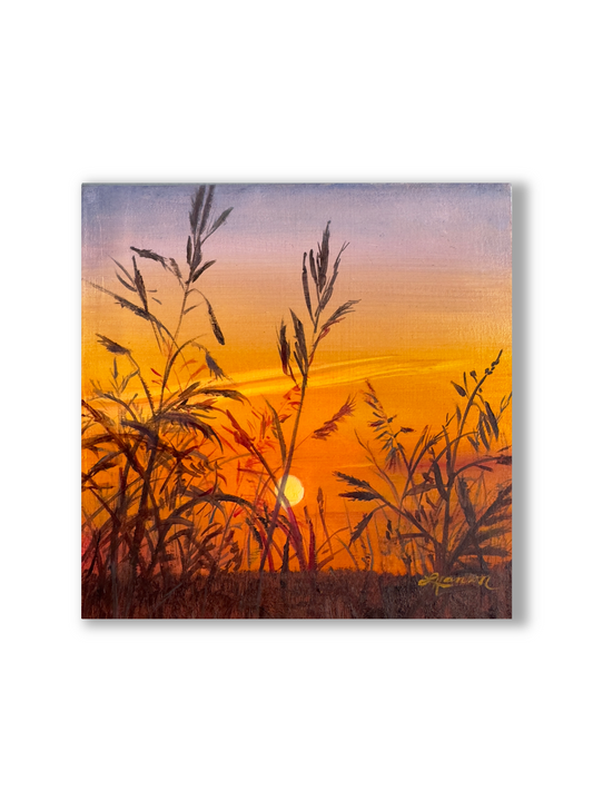 Twilight Field