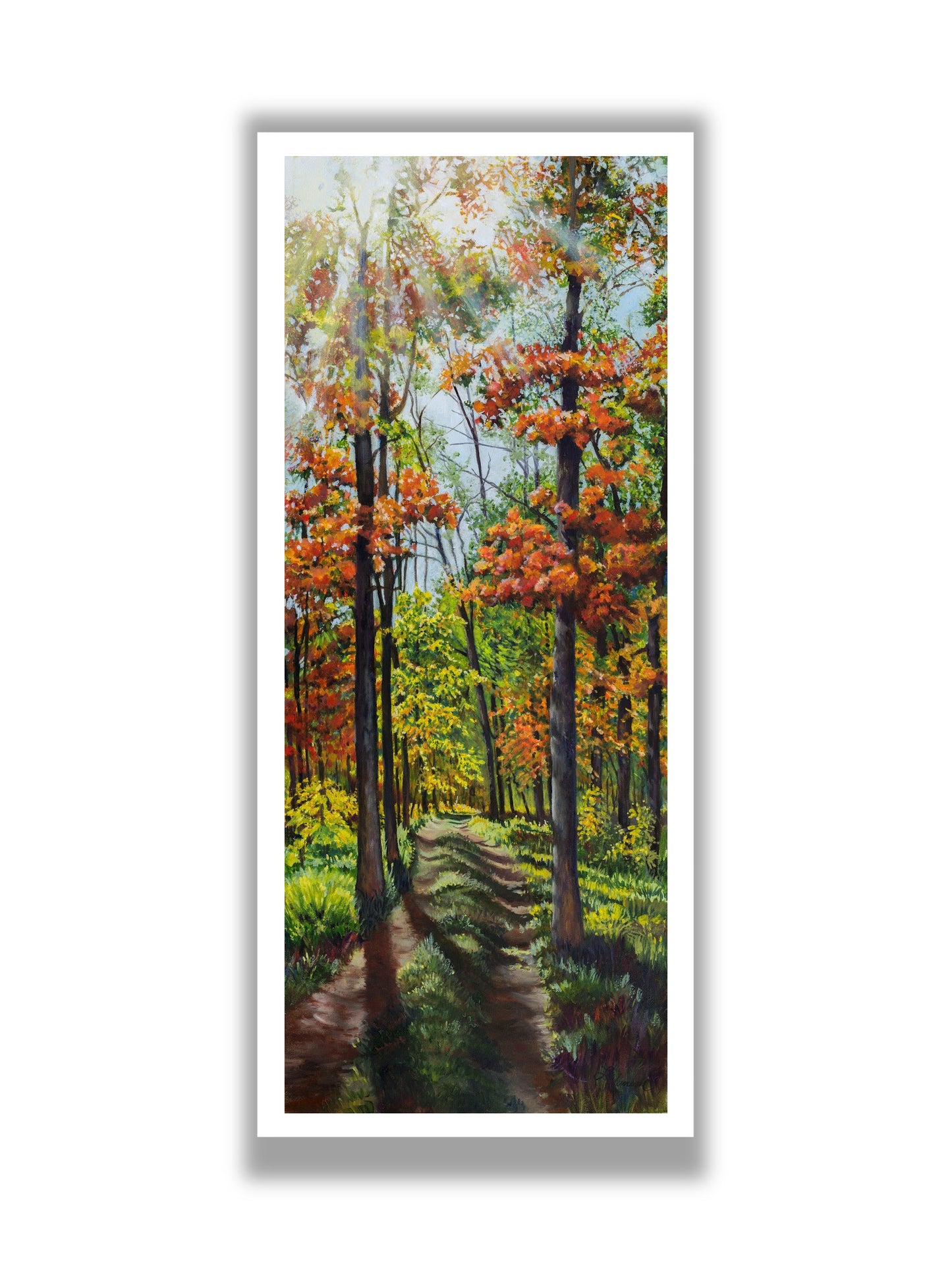 Cabin Road