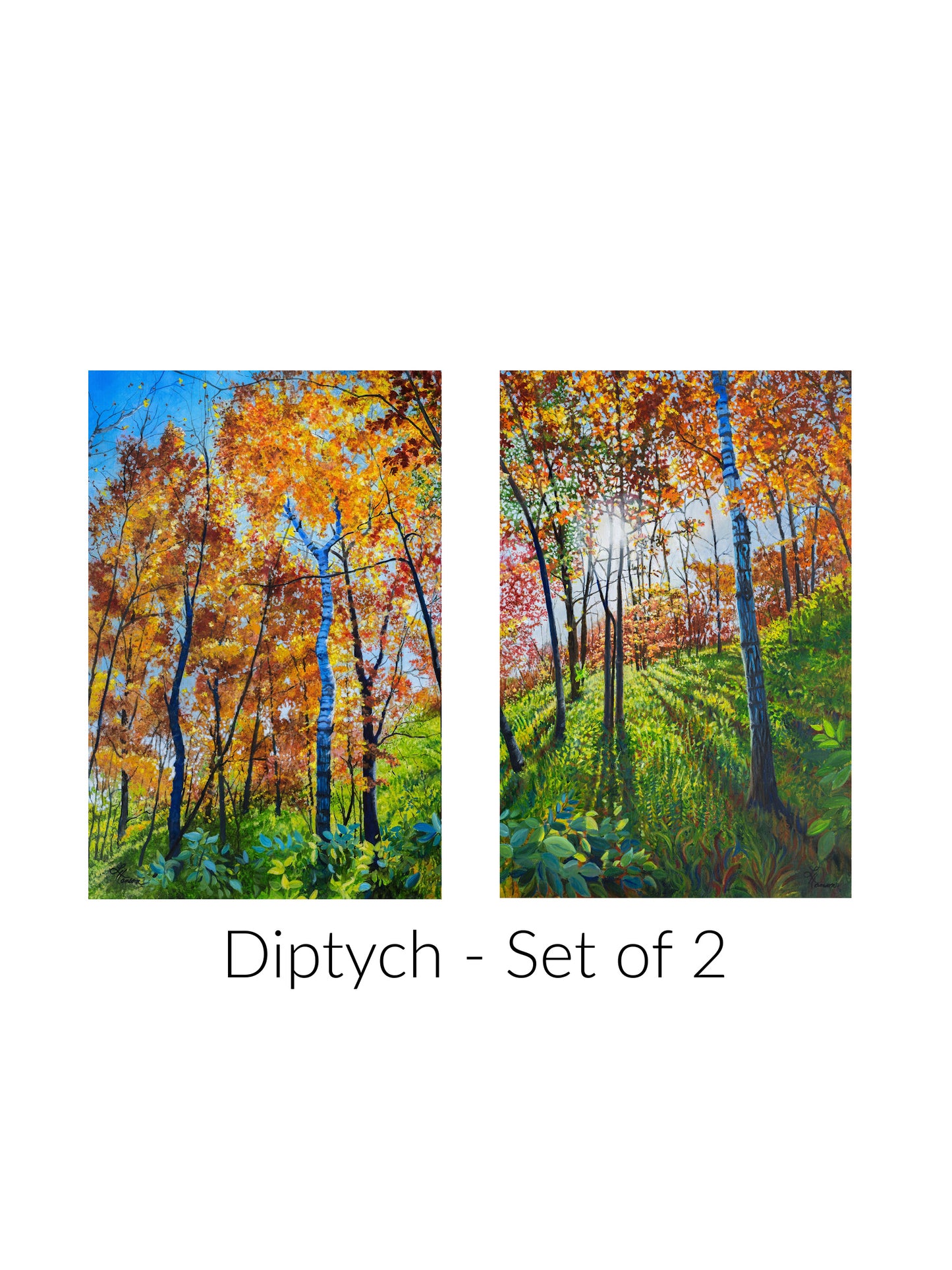 Looking Up Diptch Set