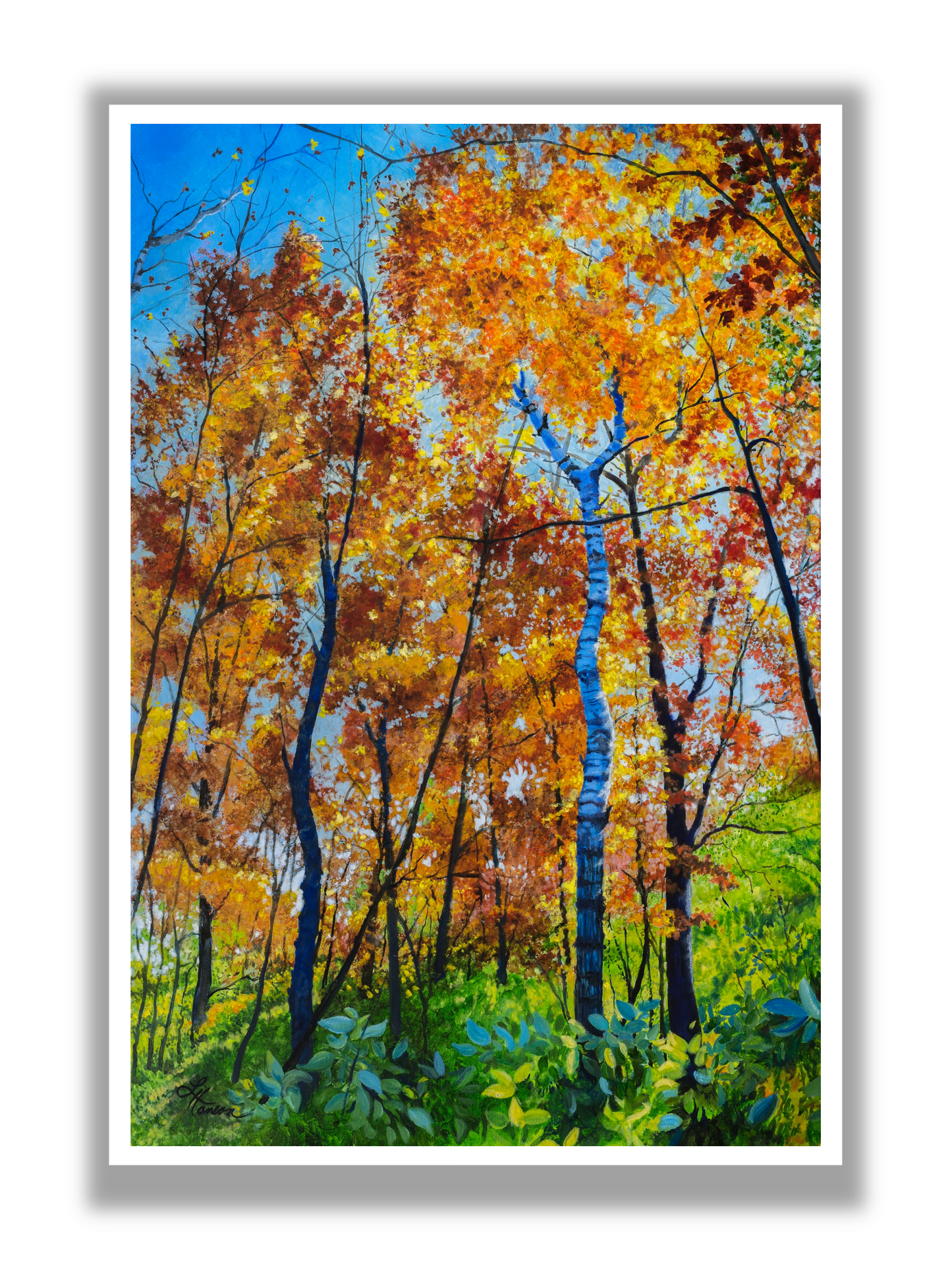 Looking Up 1 Print