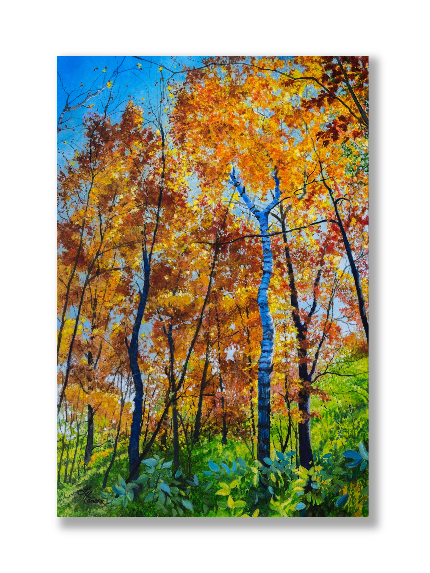 Looking Up 1 Print