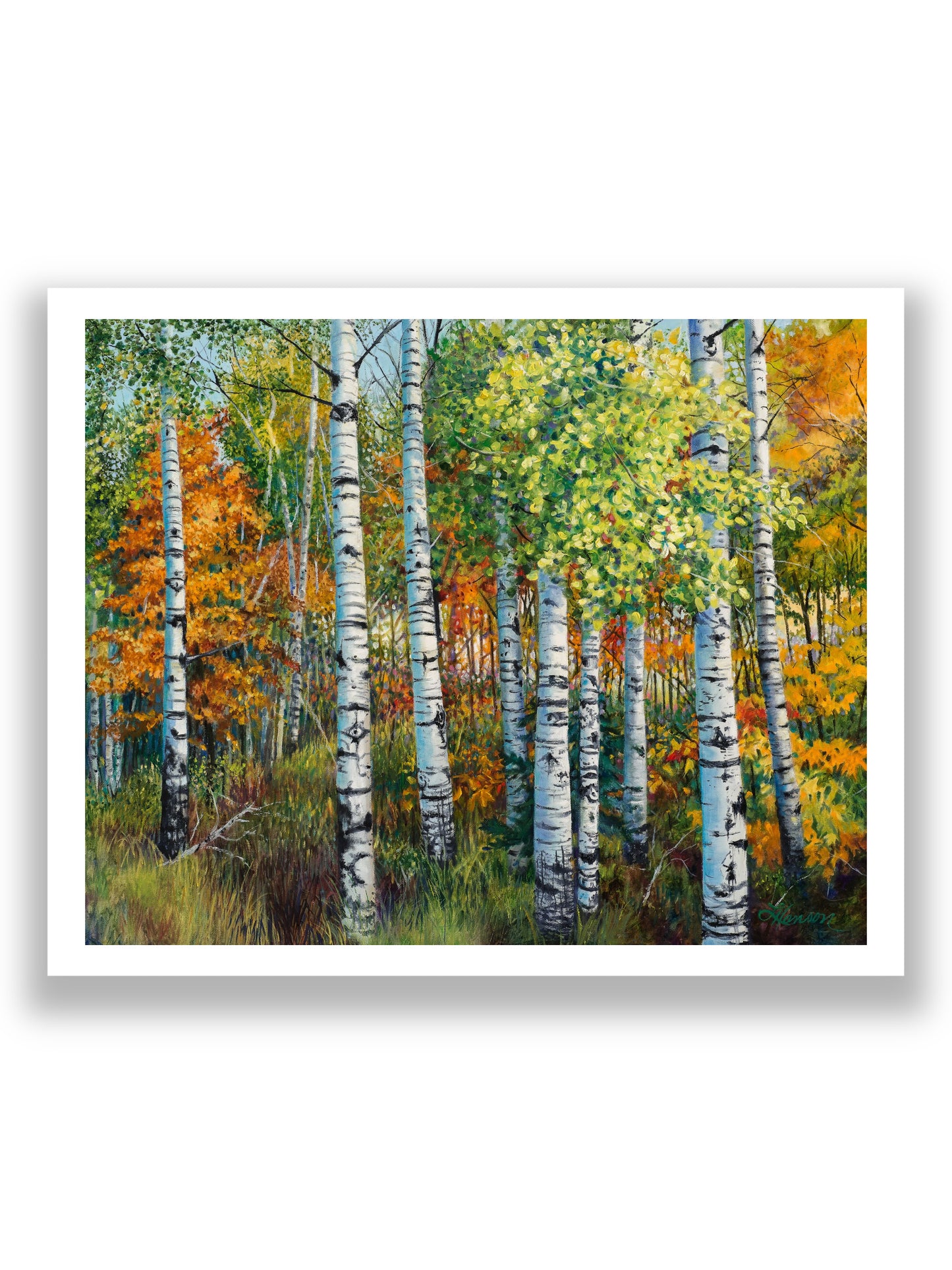 Aspin Grove Print