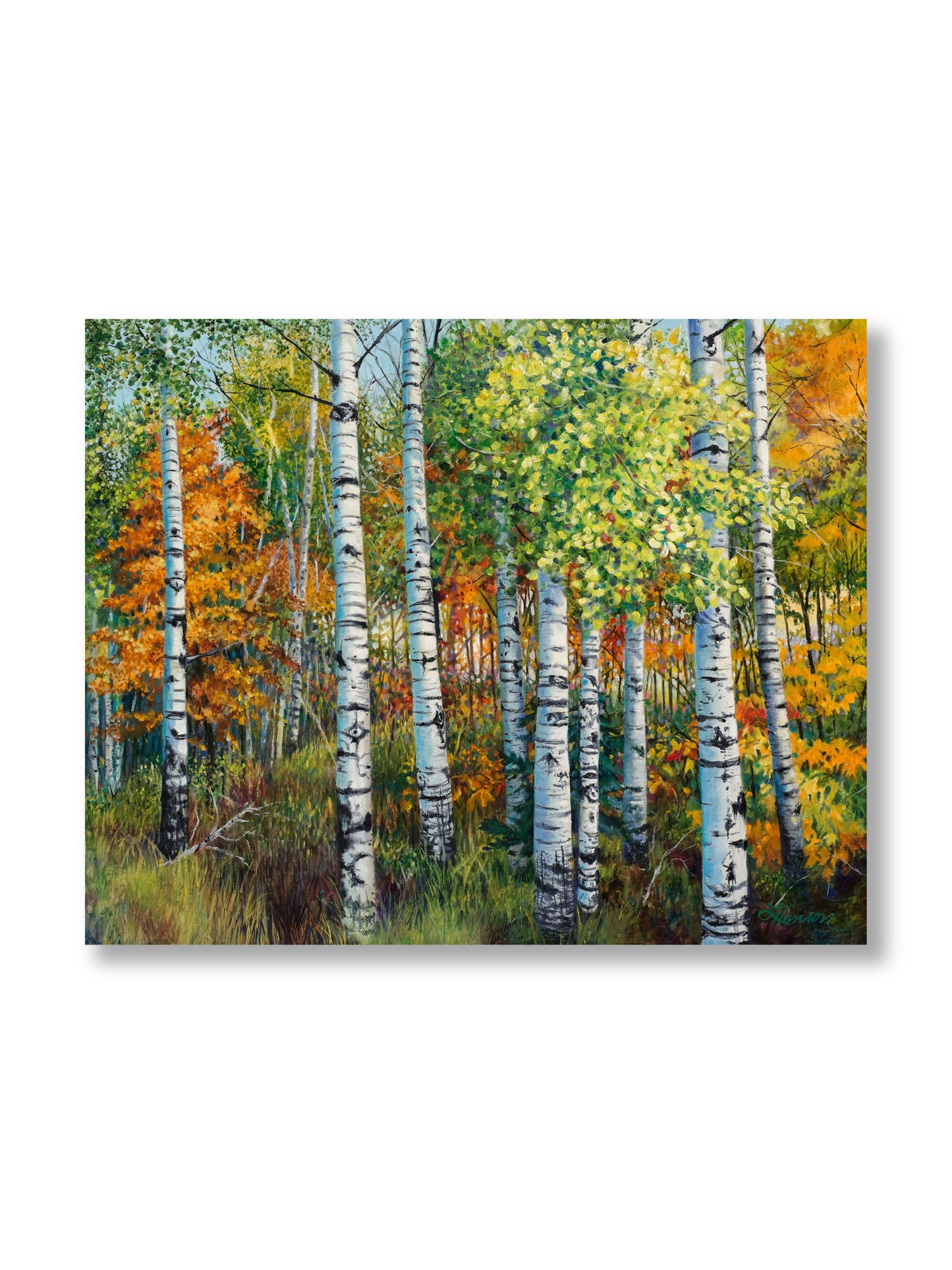 Aspin Grove Print
