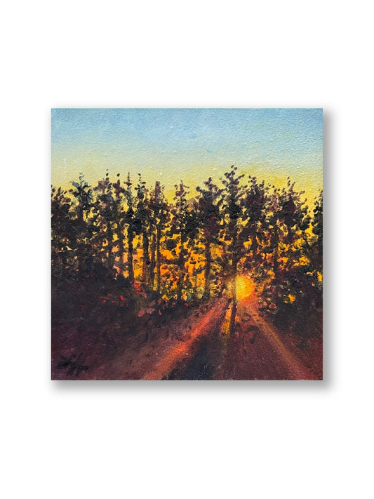 Line of Pines