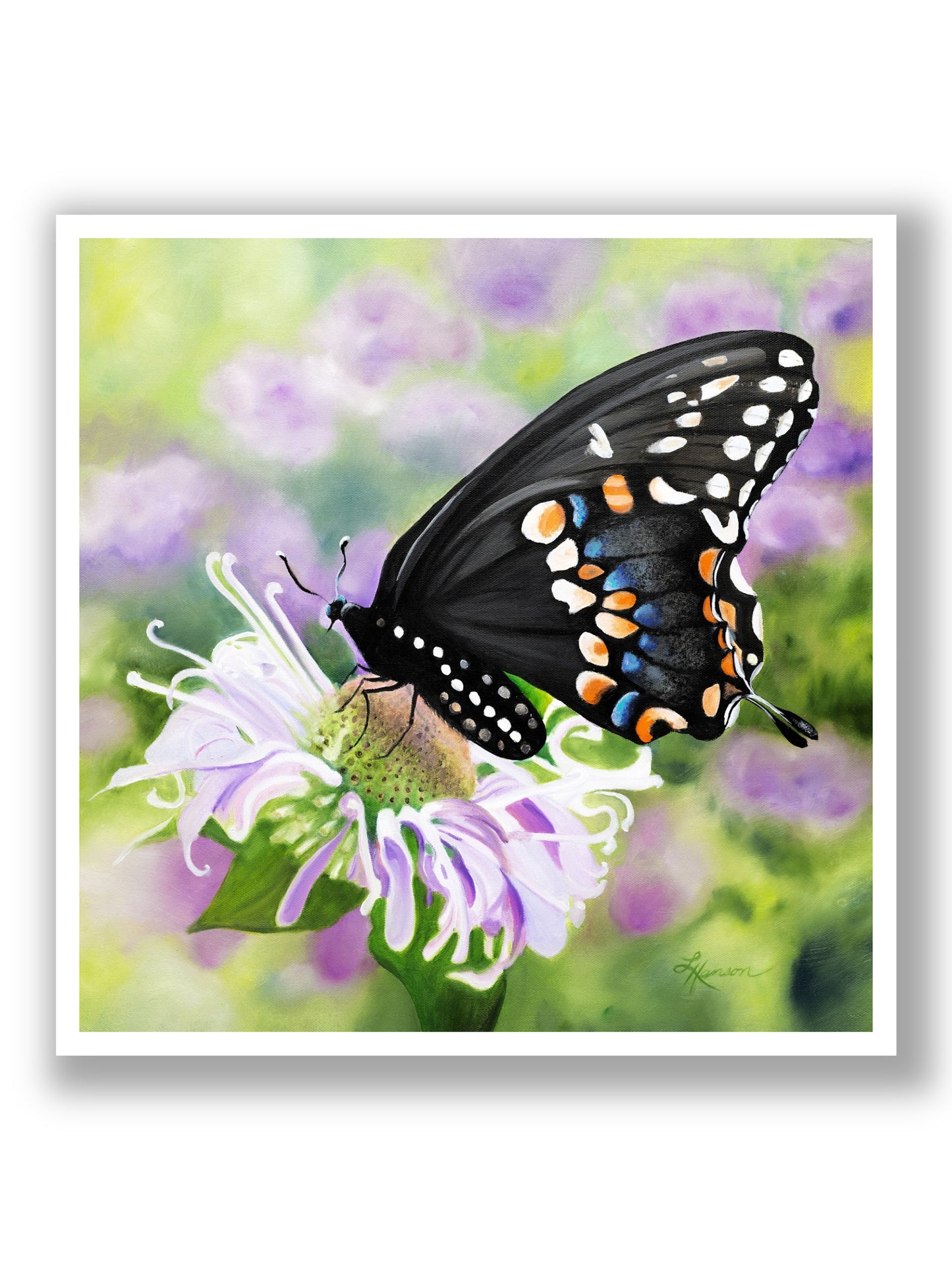 Black Beauty Print