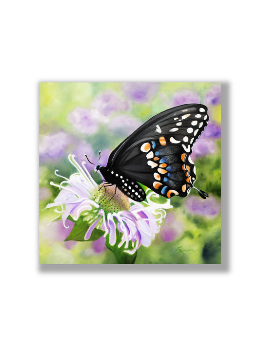 Black Beauty Print