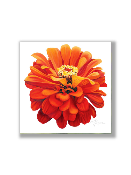 Zinnia Print