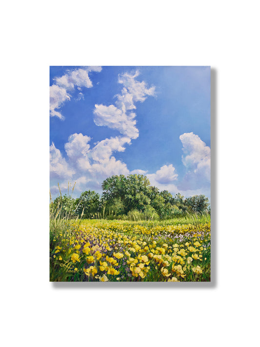 June Afternoon