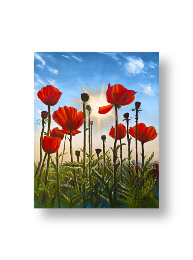 Sunshine Poppies Print