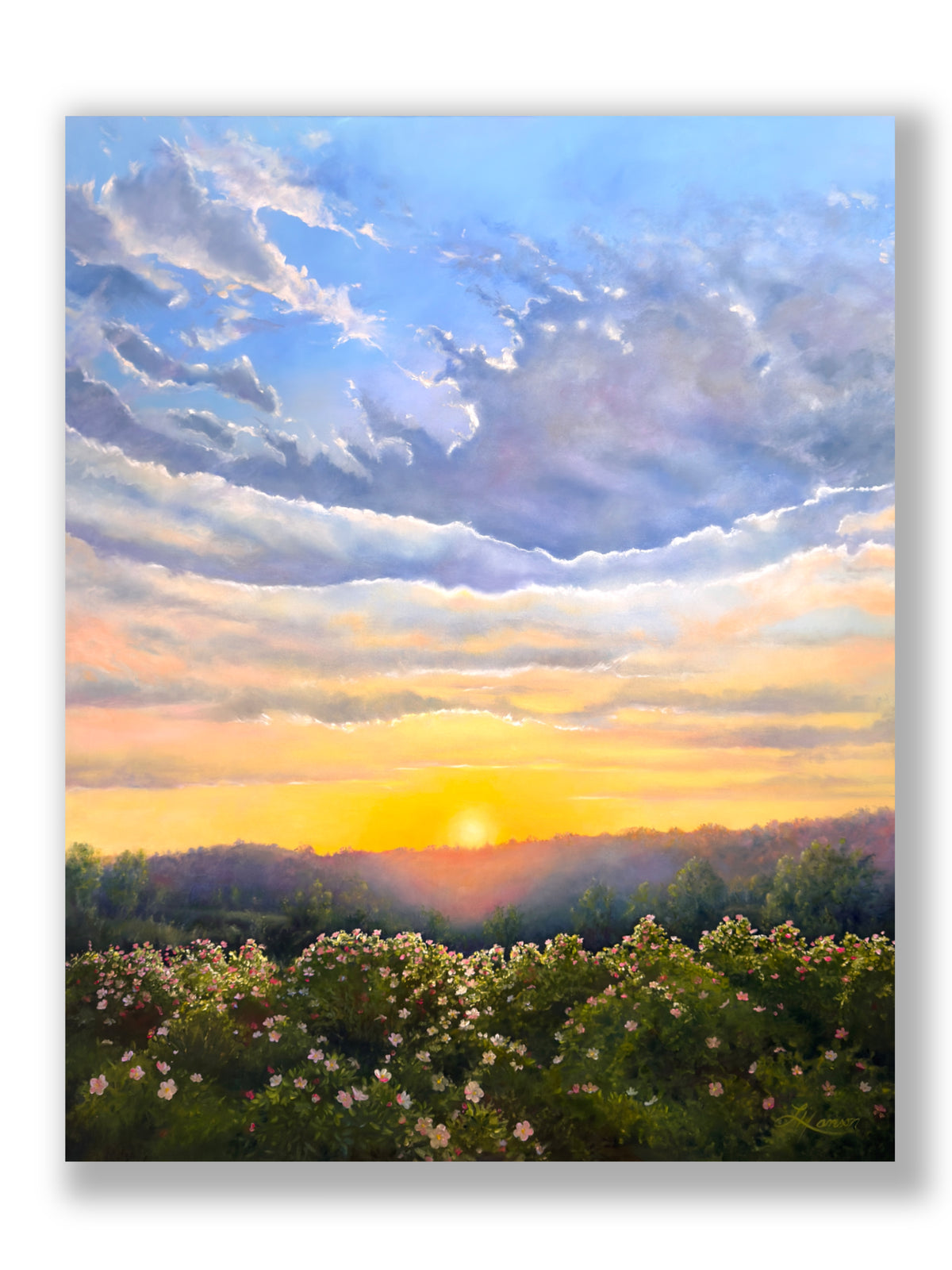 Sunset over a landscape with trees and rose bushes with flowers in the foreground.