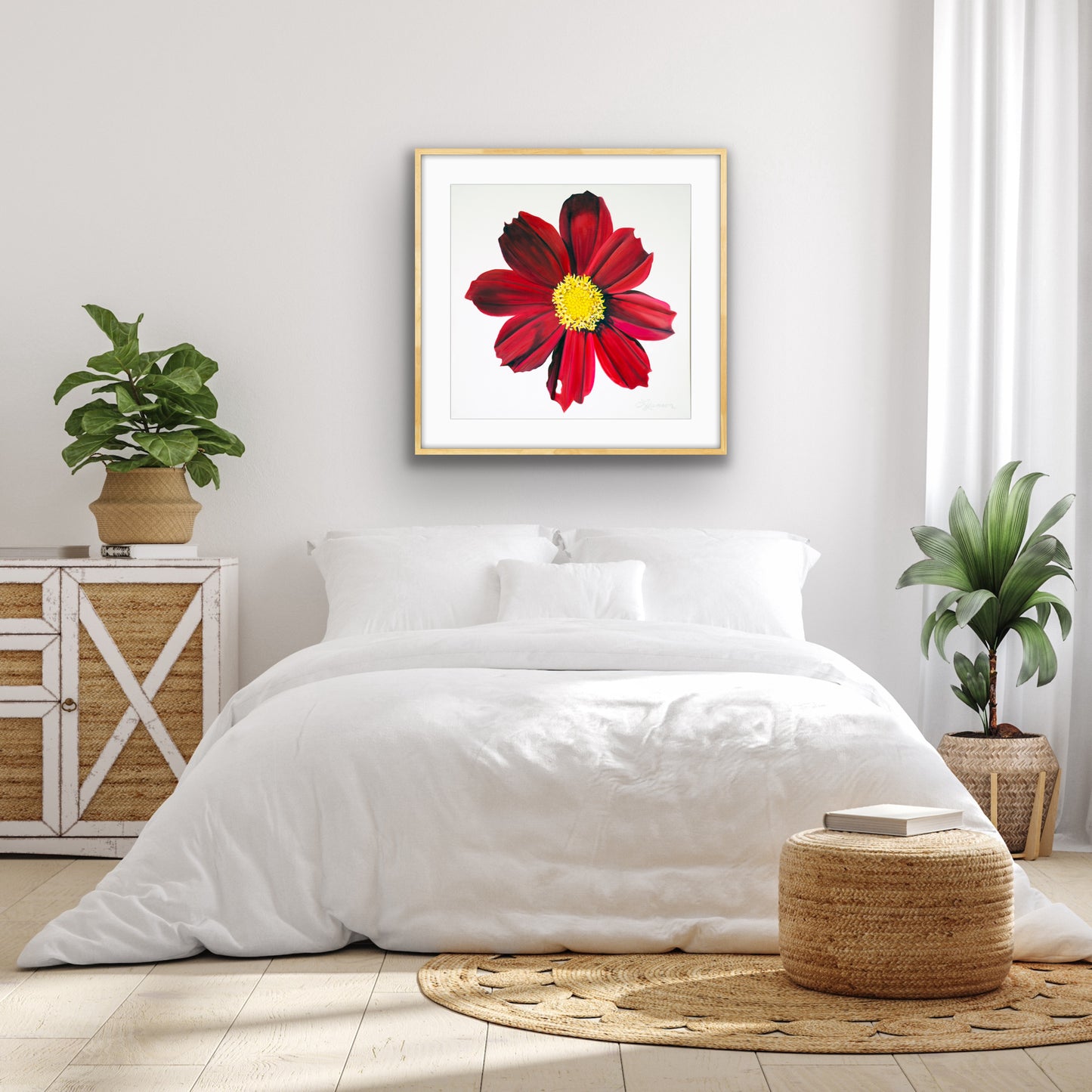 Red Velvet Cosmos Print