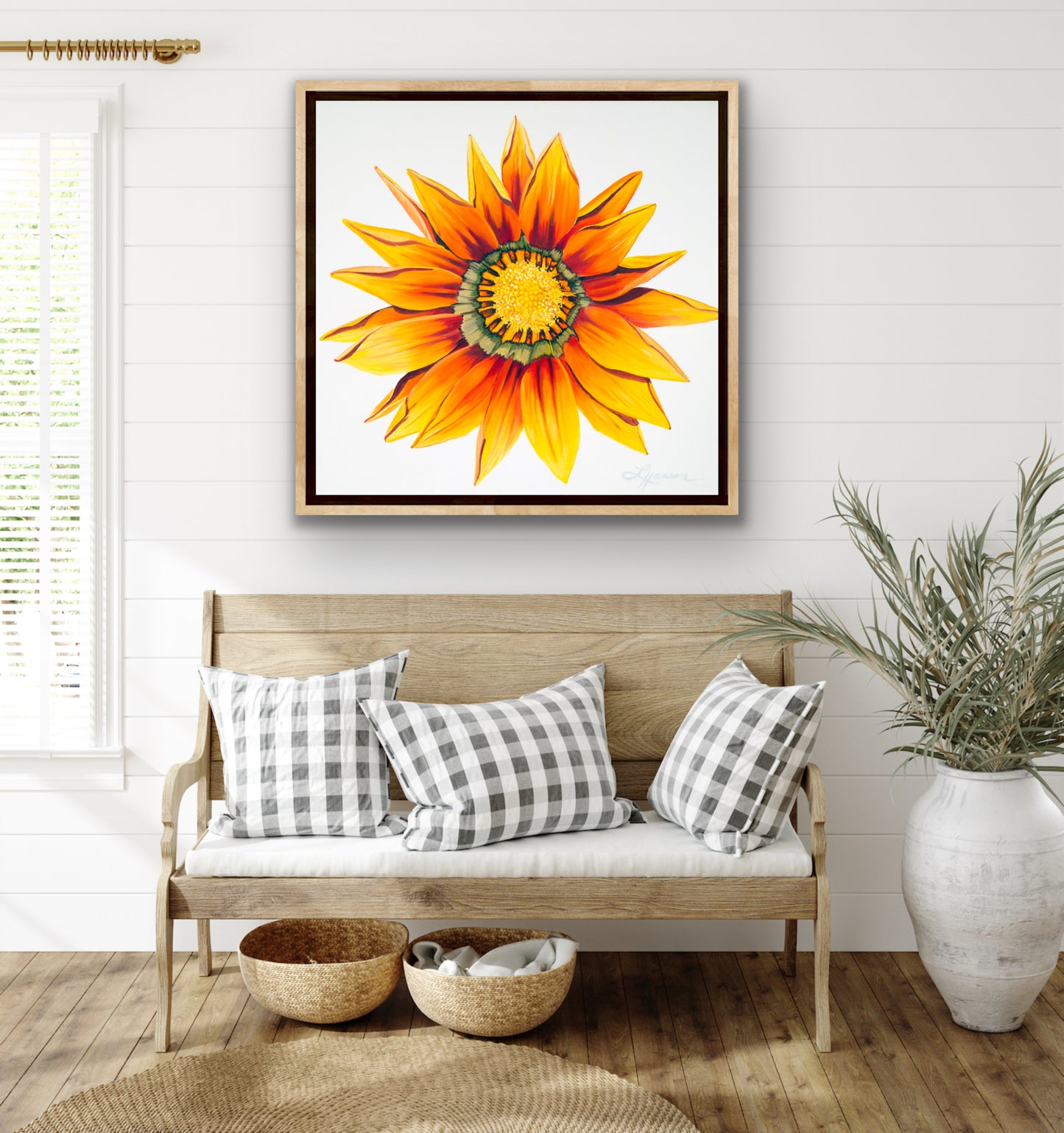 Gazania Print