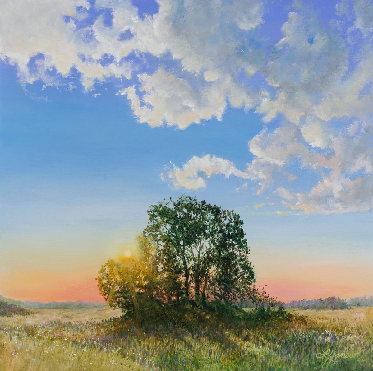 Sunny landscape with a tree and open field under a blue sky with clouds