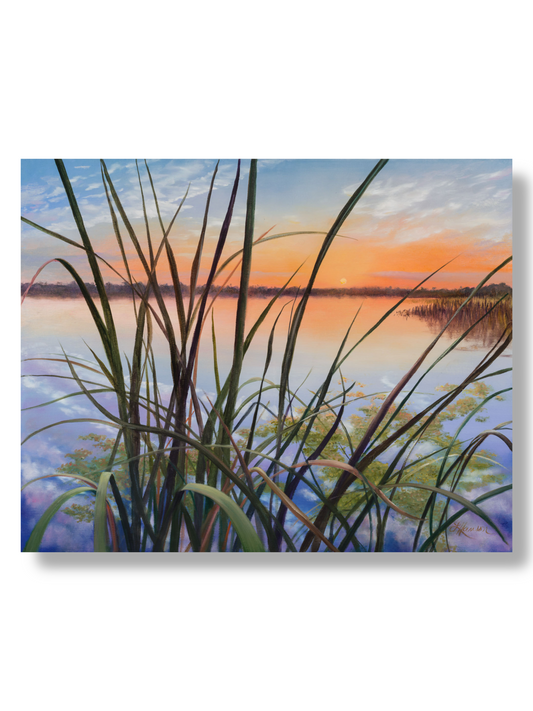 Painting of tall grasses by a lake with a sunset sky
