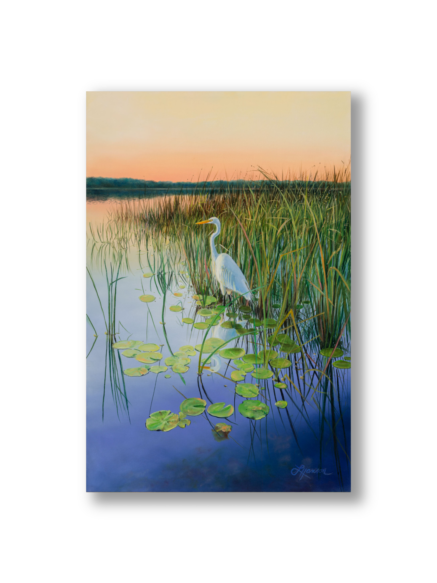 Egrett Sunset