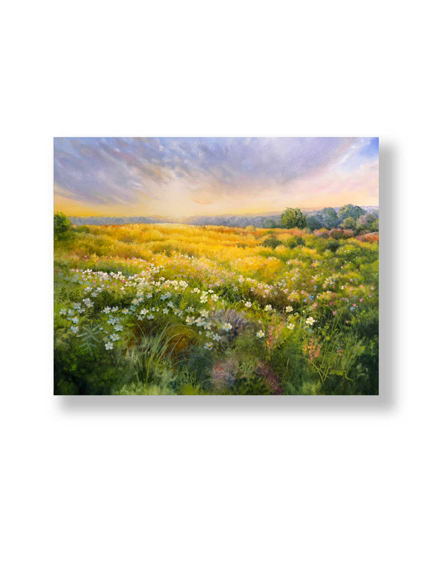 Sweet Meadow's Breath