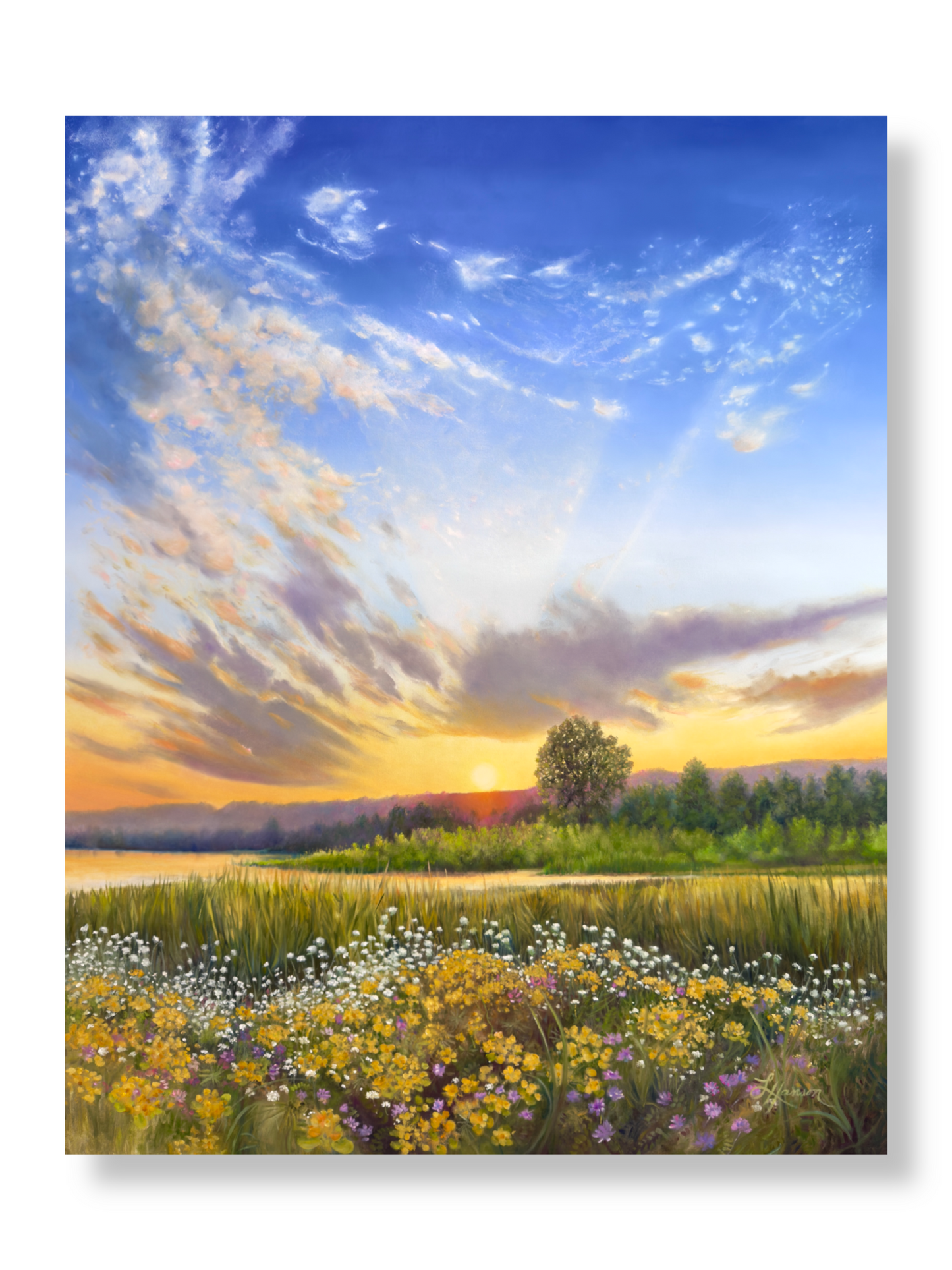 Where Dreams Bloom