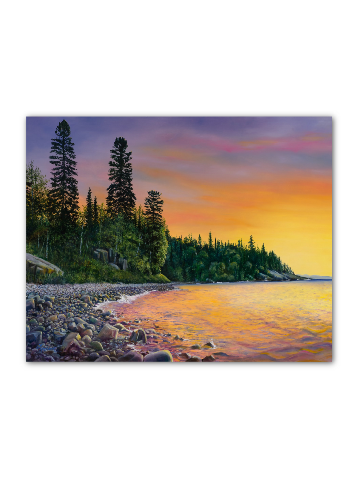 North Shore Experience
