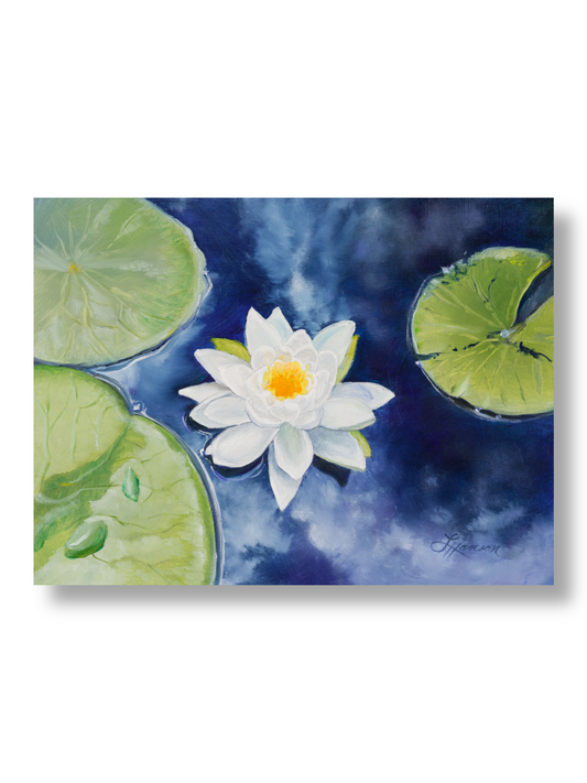 White Waterlily Cloud Reflection